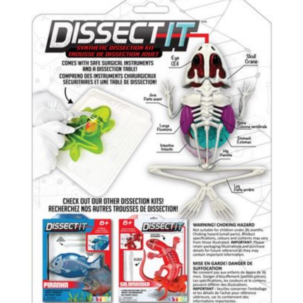 Frog Dissection Kit - Picture 2 of 5